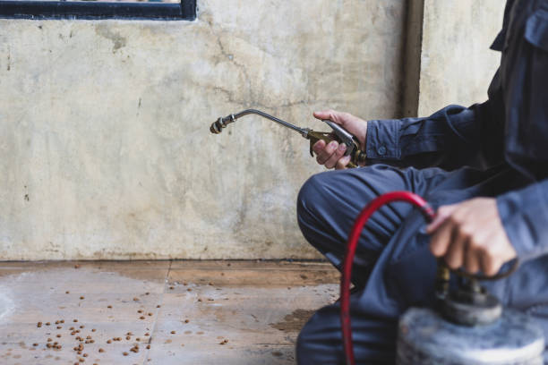 Best Termite Control Services  in Elsberry, MO
